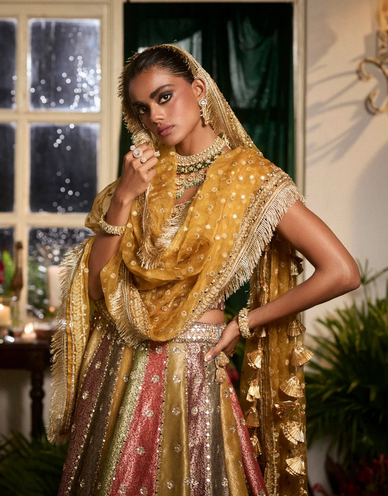 Dilkush Lehenga Set By Manvi Kapoor B
