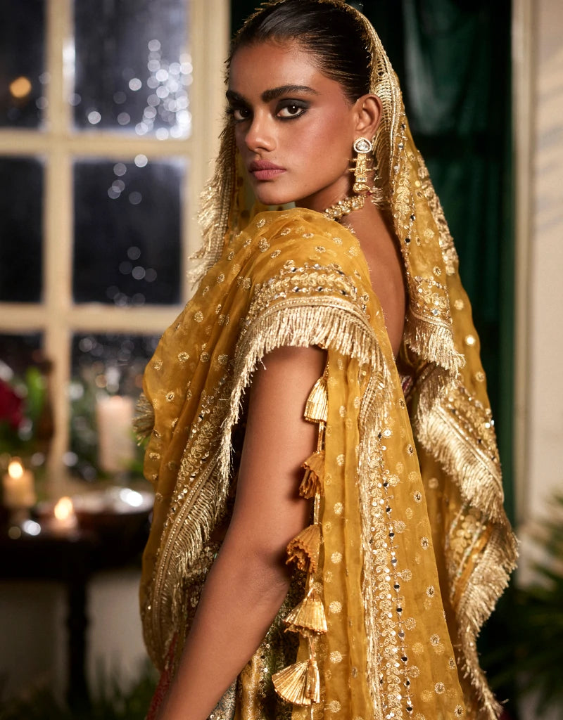 Dilkush Lehenga Set By Manvi Kapoor D