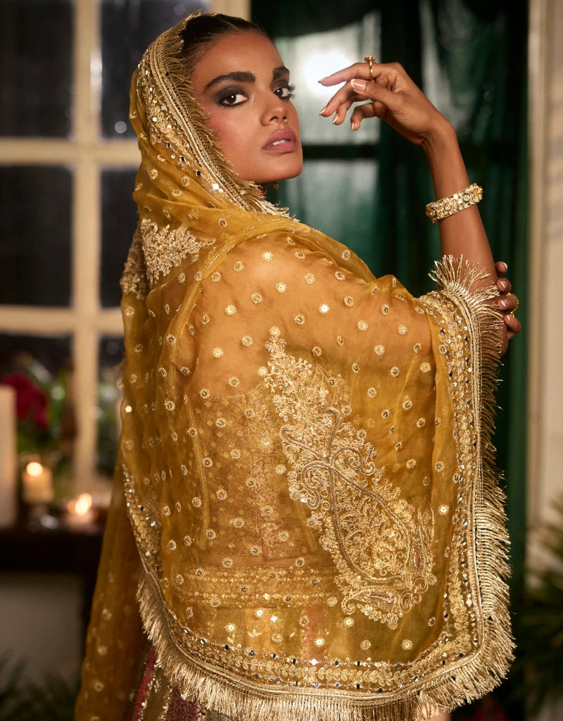 Dilkush Lehenga Set By Manvi Kapoor E