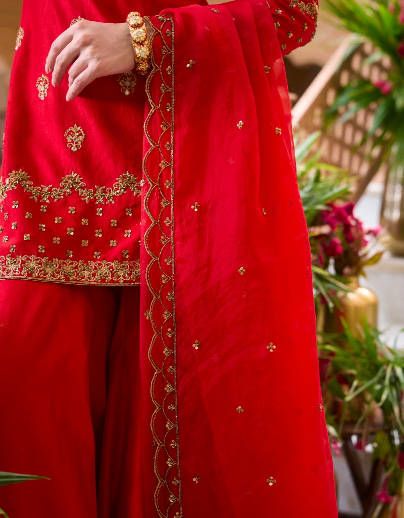 Khwaab Gharara Set By Manvi Kapoor G