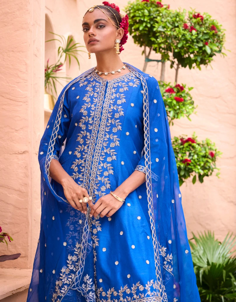 Neel Pant Set By Manvi Kapoor C