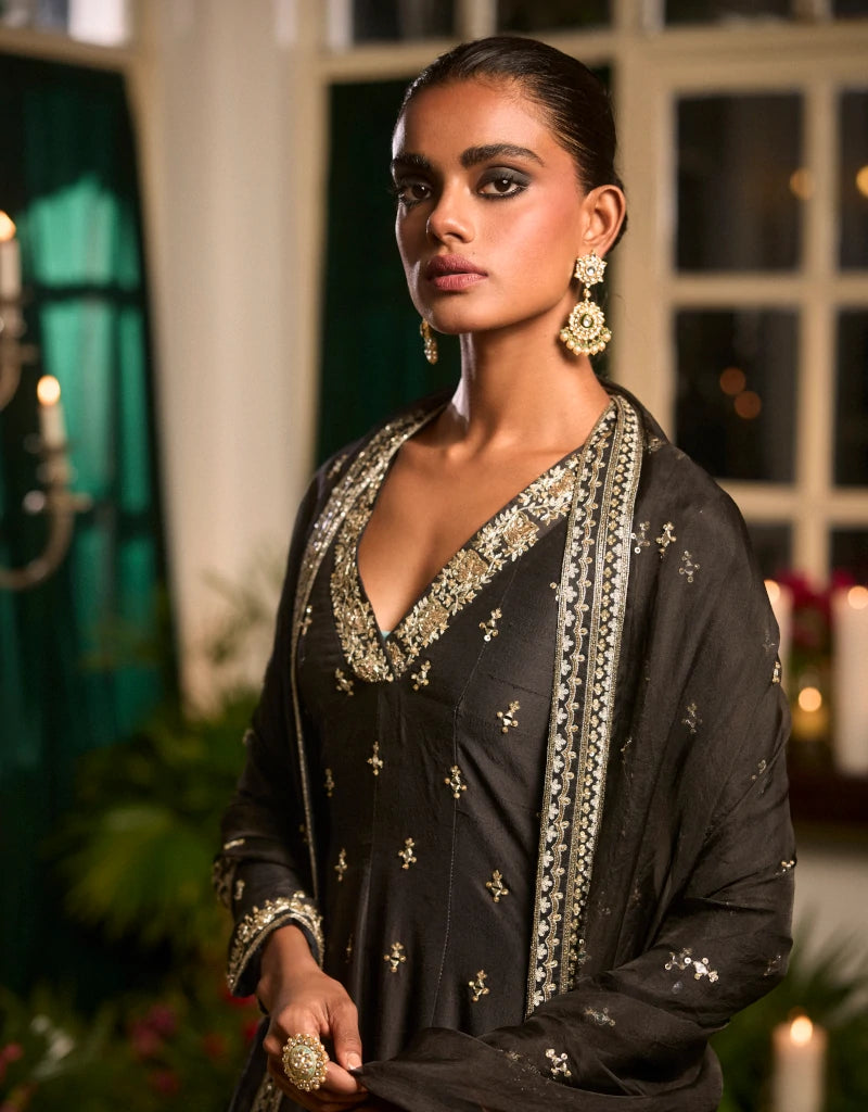 Shaam Anarkali Set By Manvi Kapoor B