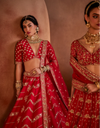 RAABTA LEHENGA SET