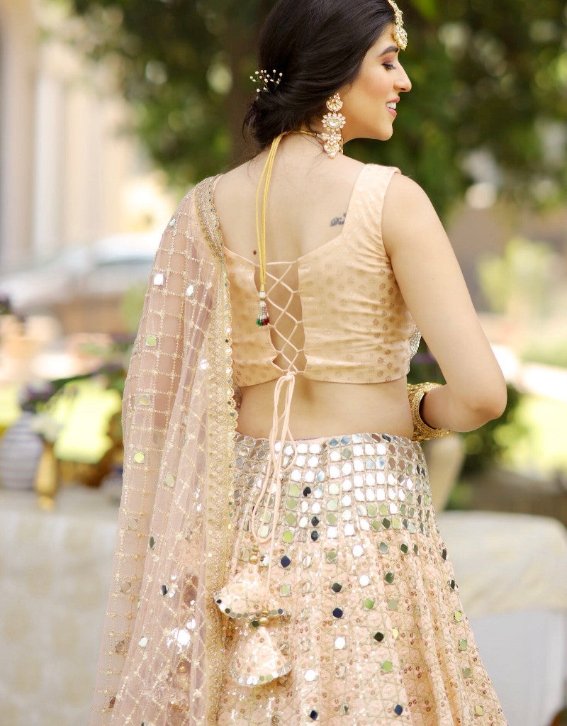 SHEESH-lehenga-ethnic-indianwear-Manvi Kapoor